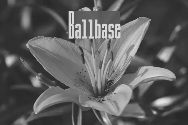 Ballbase Example 3