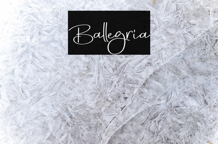 Ballegria Font examples