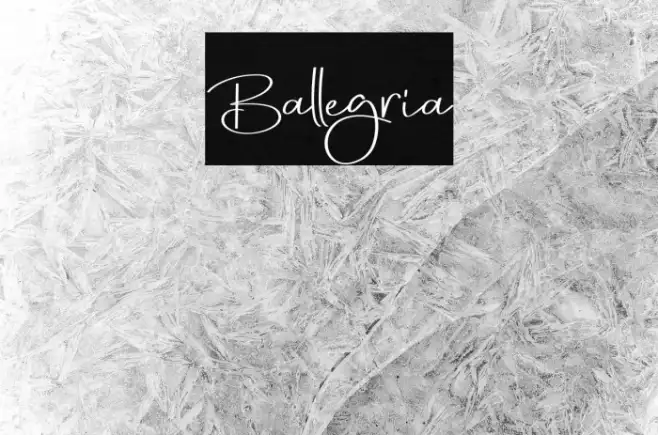 Ballegria Example 1