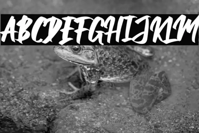 Balleho Font examples