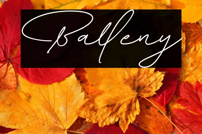 Balleny Example 1