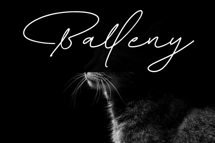 Balleny Example 2