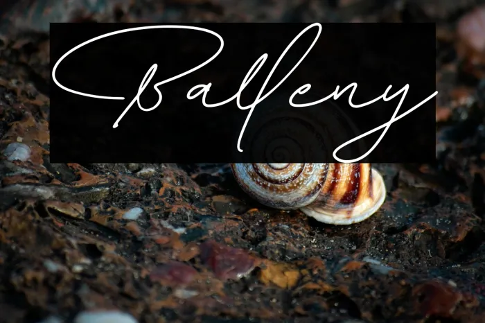 Balleny Example 3