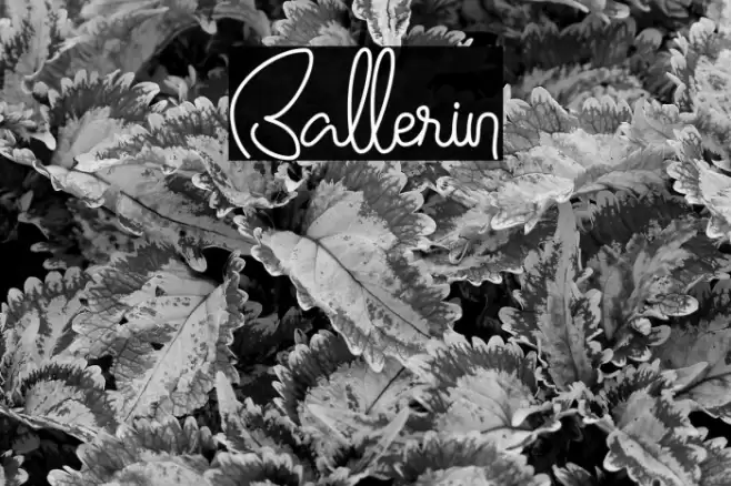 Ballerin Font examples