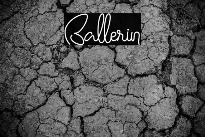 Ballerin Font examples
