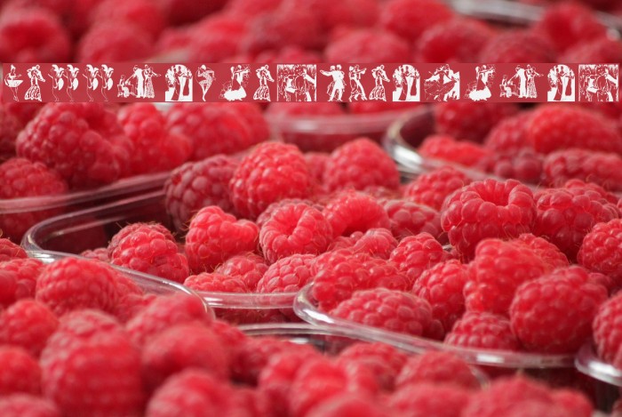 BallerinasNPartners Font examples