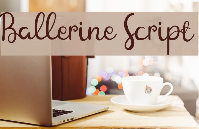Ballerine Script Example 1