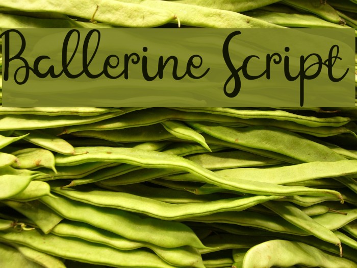 Ballerine Script Example 3