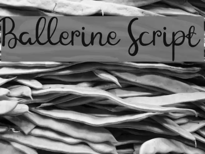 Ballerine Script Font examples