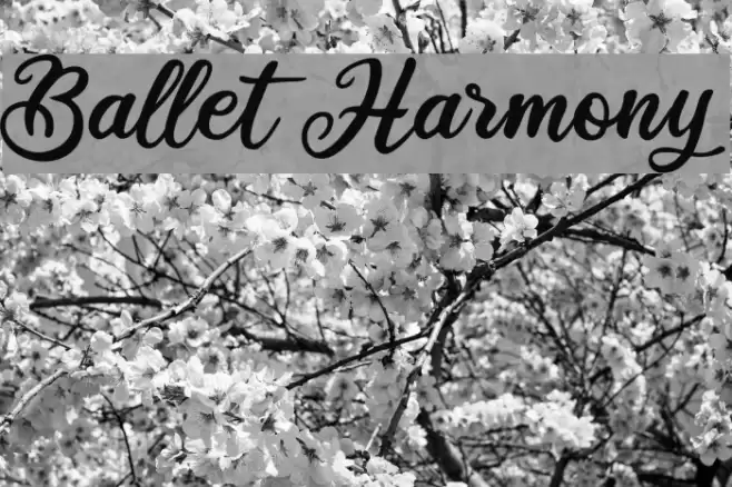 Ballet Harmony Font examples