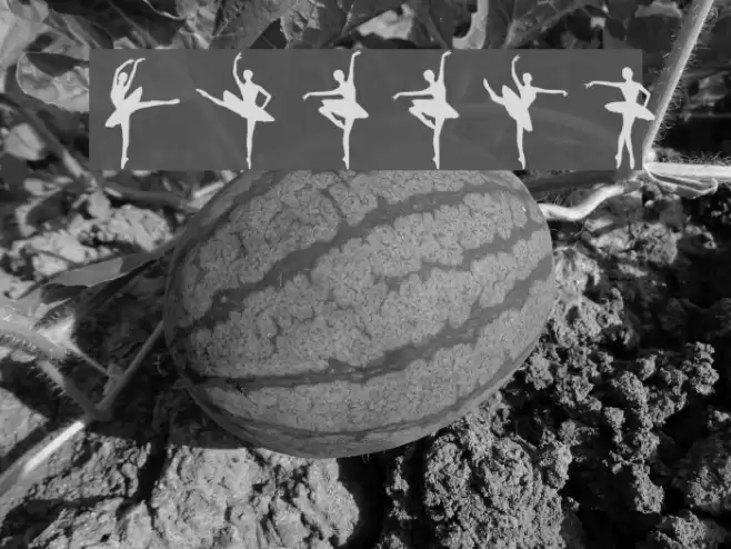 Ballet Font examples