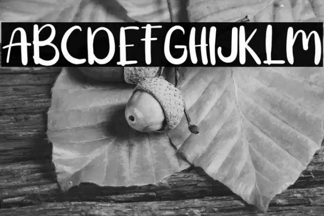 Ballete Font examples