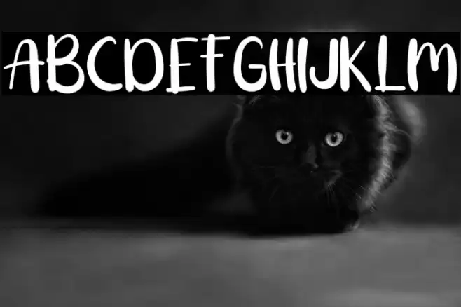 Ballete Font examples