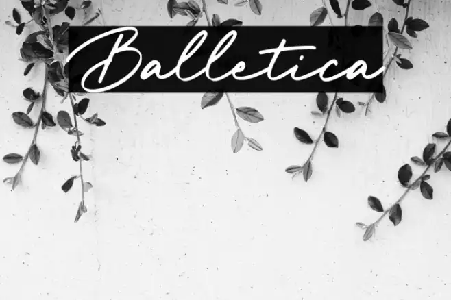 Balletica Example 3