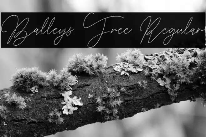 Balleys Free Regular Font examples