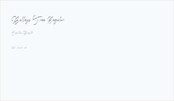 Balleys Free Regular Business Card