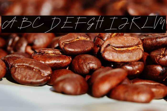 Ballifornia Signature Regular Personal-Use-only Example 3