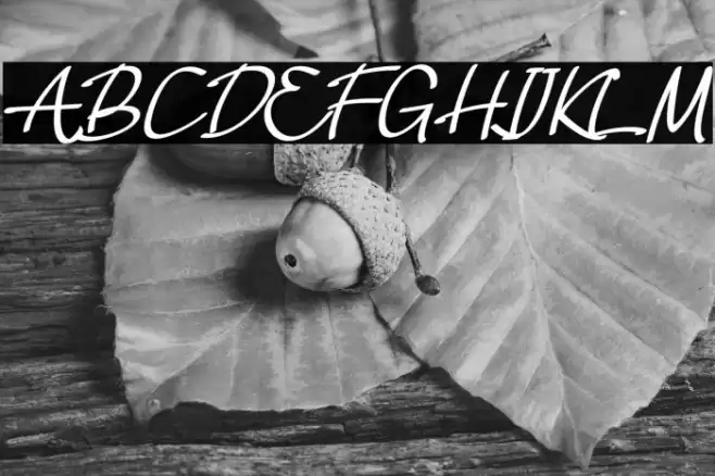 Ballimoon Font examples