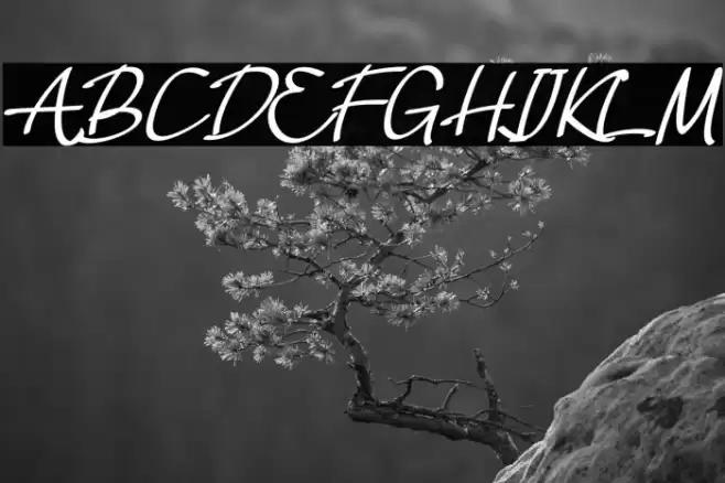 Ballimoon Font examples