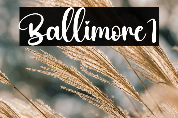Ballimore1 Example 1