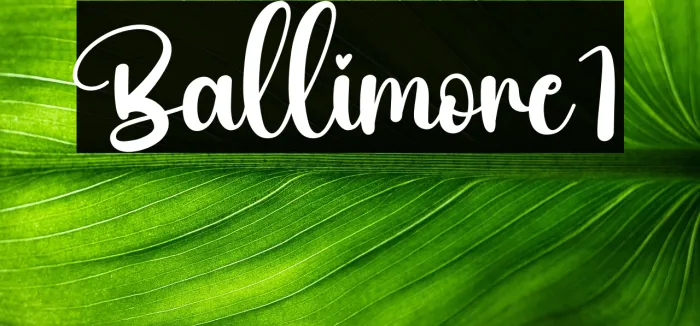 Ballimore1 Example 3