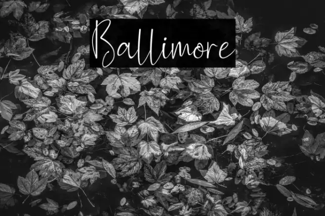 Ballimore Font examples