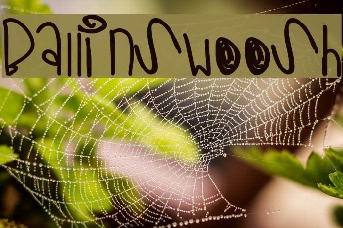BallinSwoosh Font examples