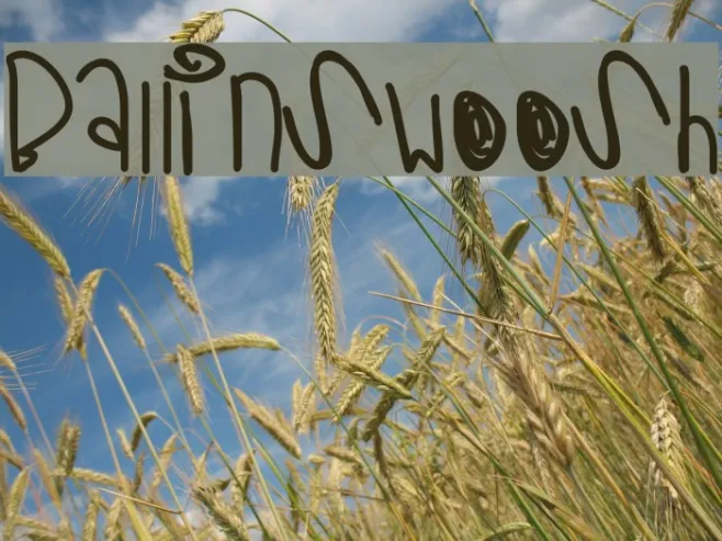 BallinSwoosh Example 3