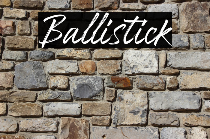 Ballistick Example 1