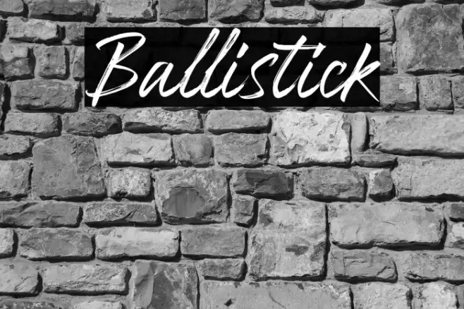 Ballistick Example 1