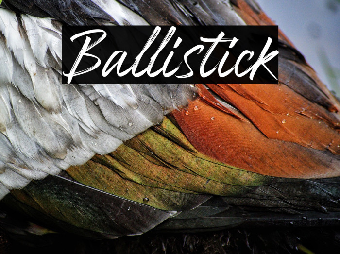 Ballistick Example 2