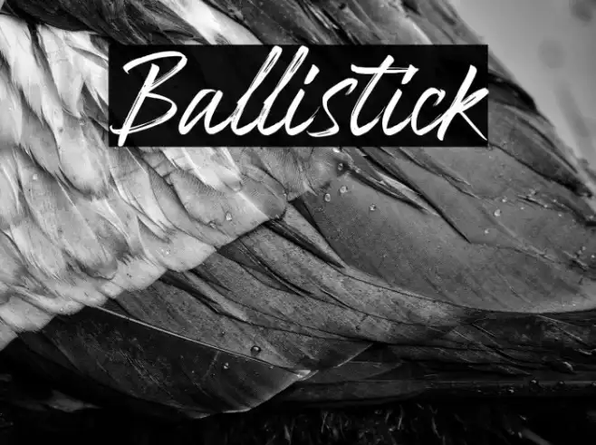 Ballistick Example 2