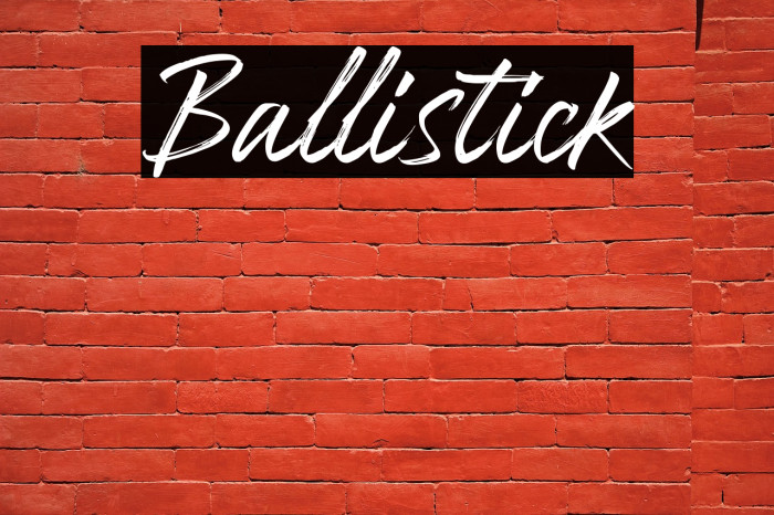 Ballistick Example 3