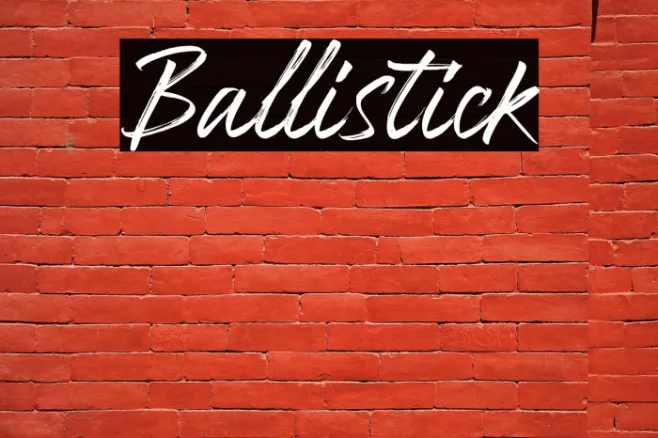 Ballistick Example 3