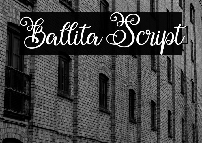 Ballita Script Example 1