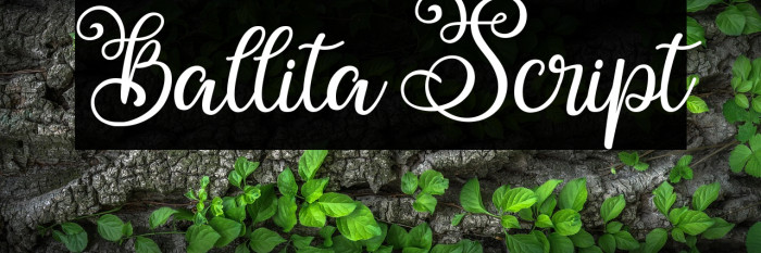 Ballita Script Example 2