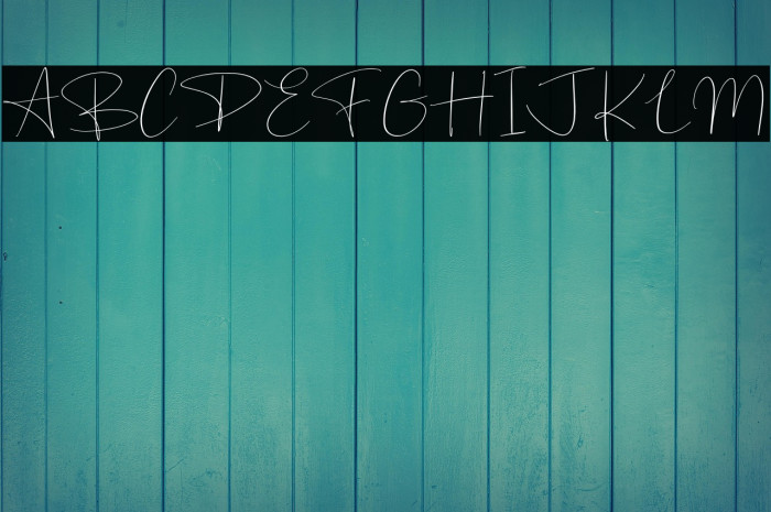 Ballmer Signature Example 1