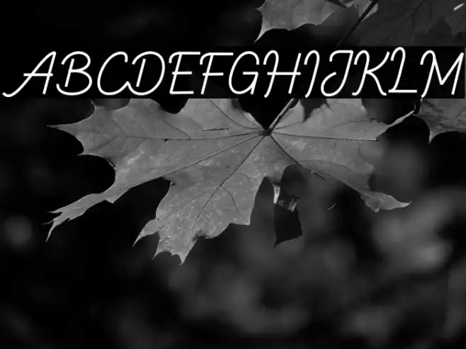 Ballock Script Example 1