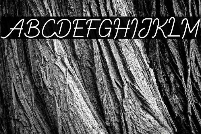 Ballock Script Example 2