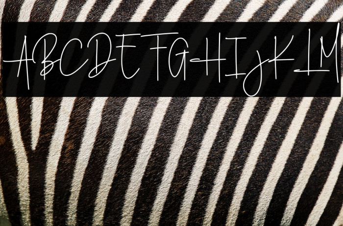 Ballondior Example 3