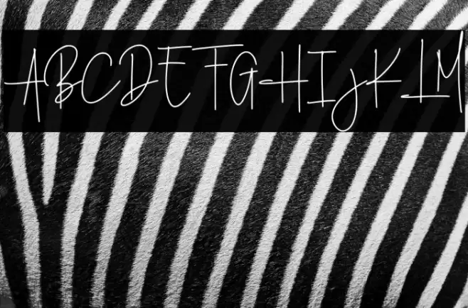 Ballondior Fonte examples