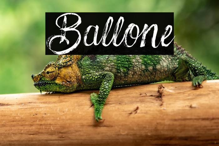 Ballone Example 2