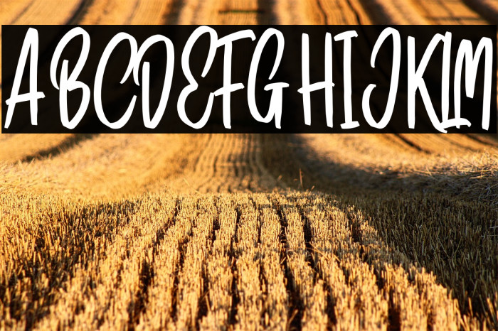 BallonesScriptDEMO-Regular Example 2