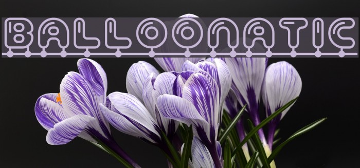 Balloonatic Font examples