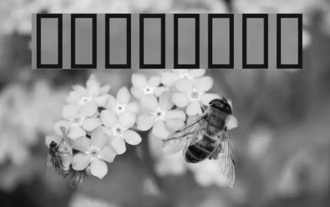 Balloons Font examples