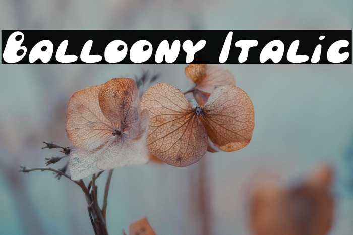 Balloony Italic Example 1
