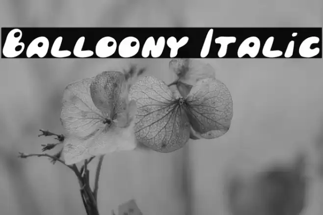 Balloony Italic Font examples