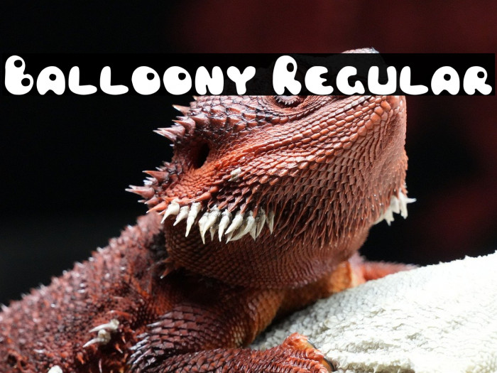 Balloony Regular Example 1