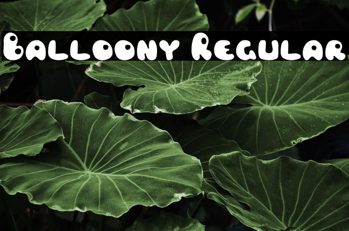 Balloony Regular Example 3