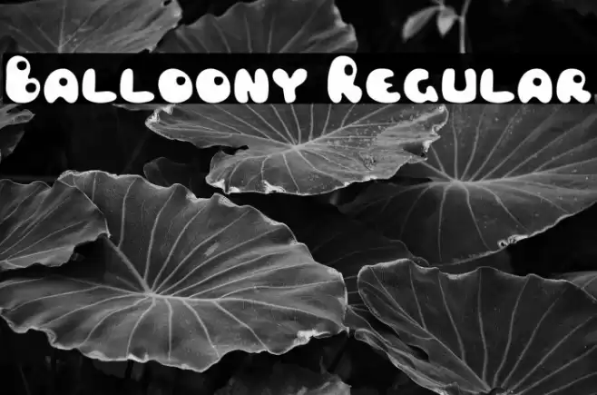 Balloony Regular Font examples
